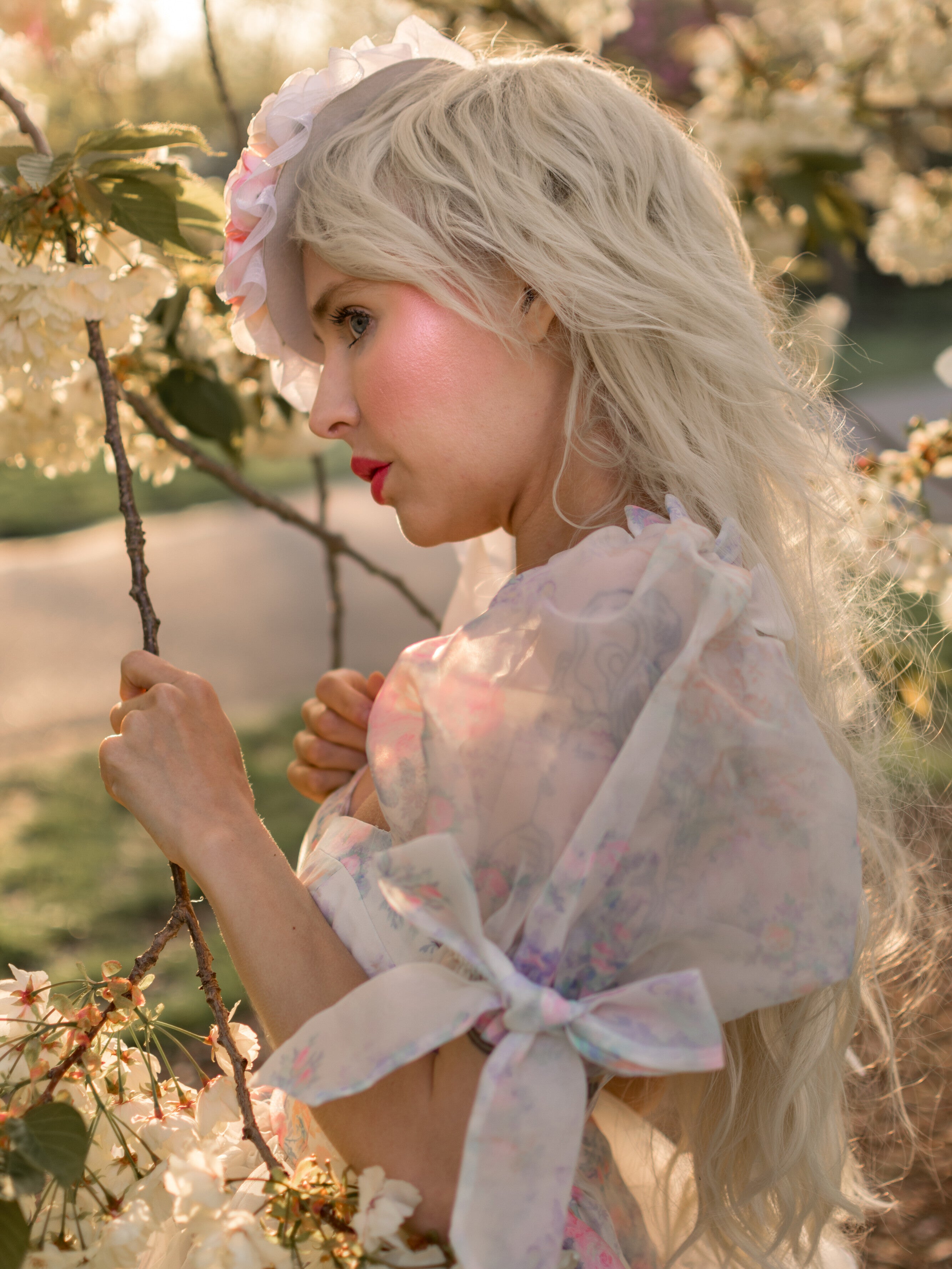 Dream of Versailles Damsel Dress
