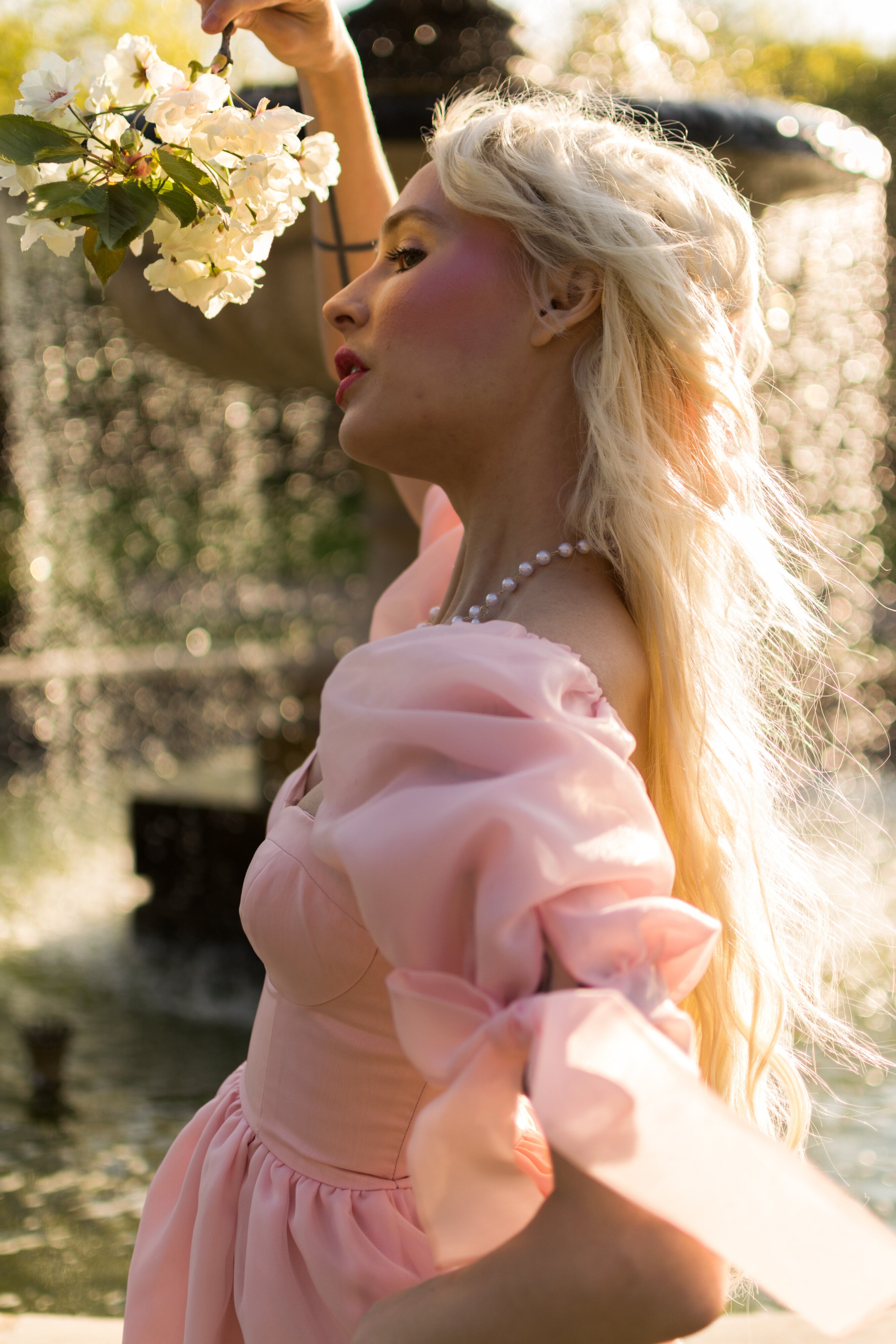 Rosewater Take Me To Windsor Dress
