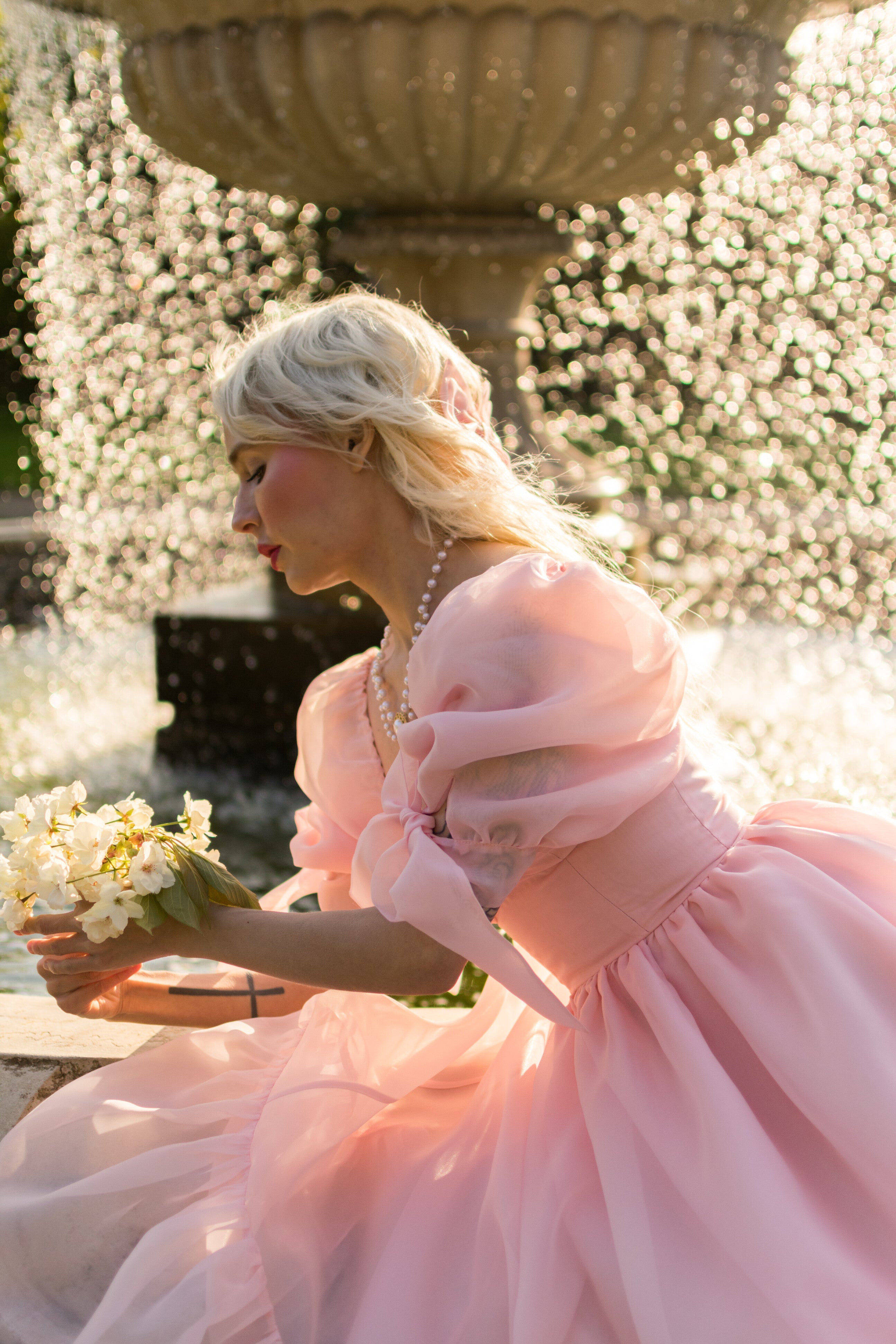 Rosewater Take Me To Windsor Dress