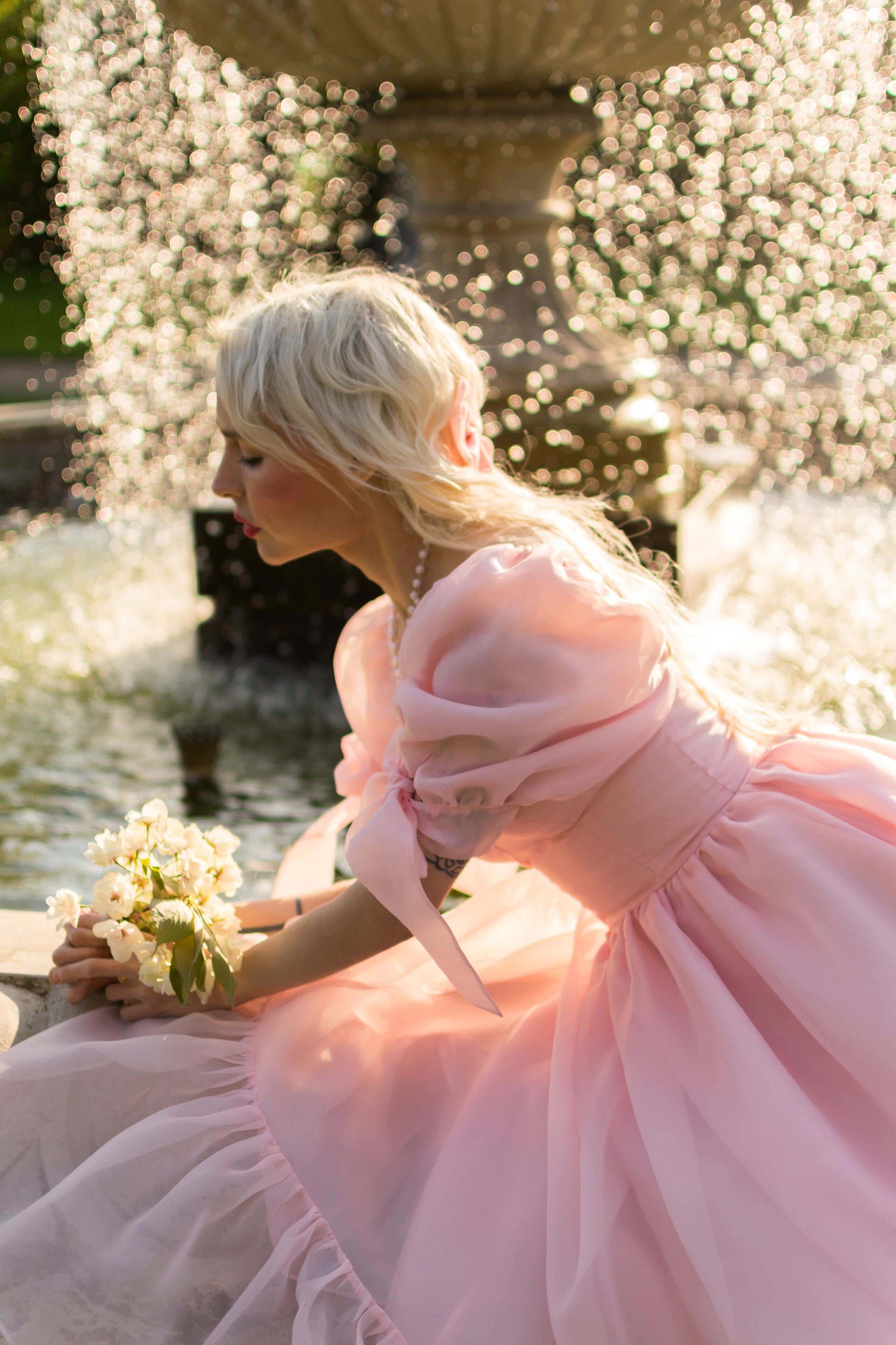 Rosewater Take Me To Windsor Dress