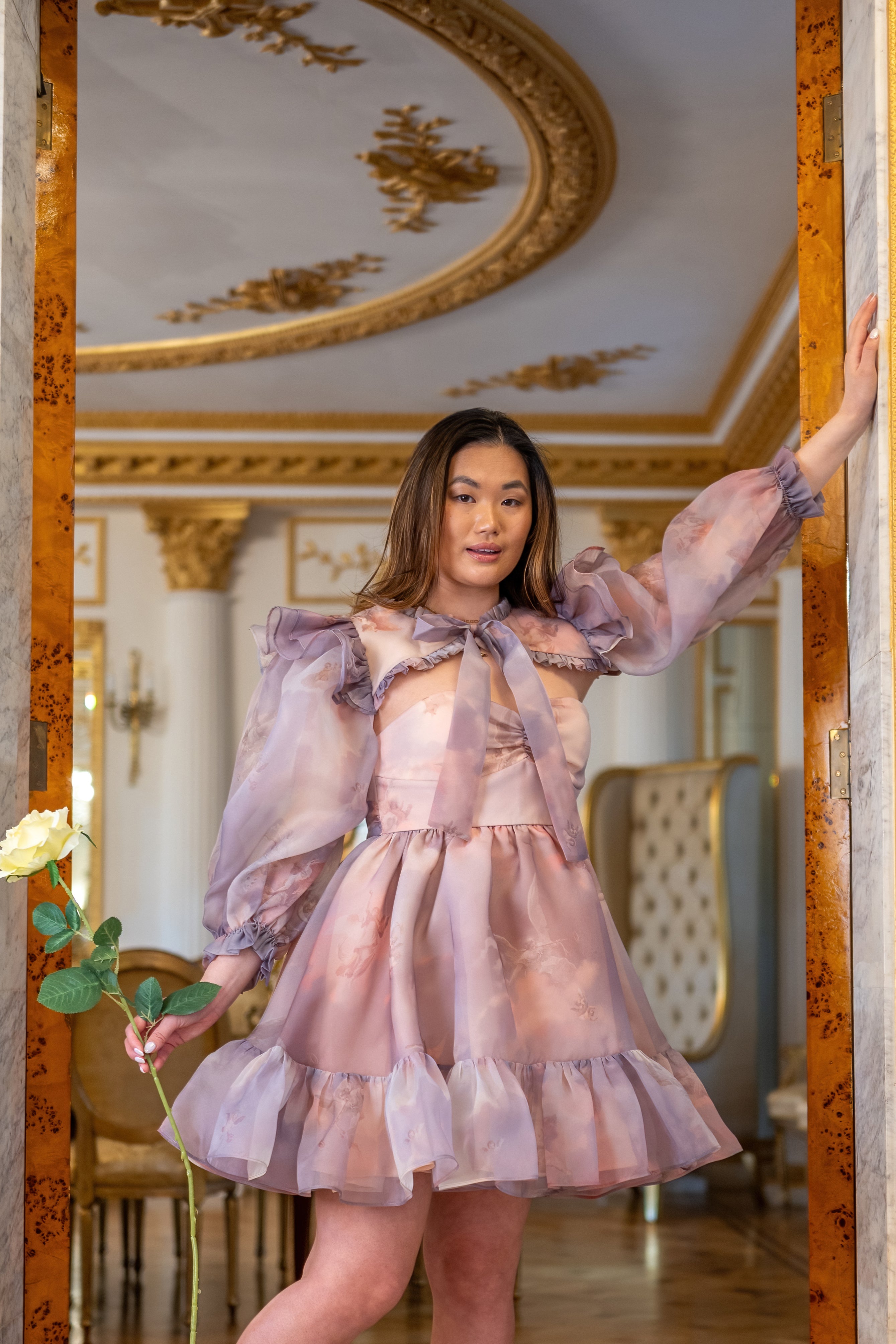 Cathedral Clouds Florentine Dress