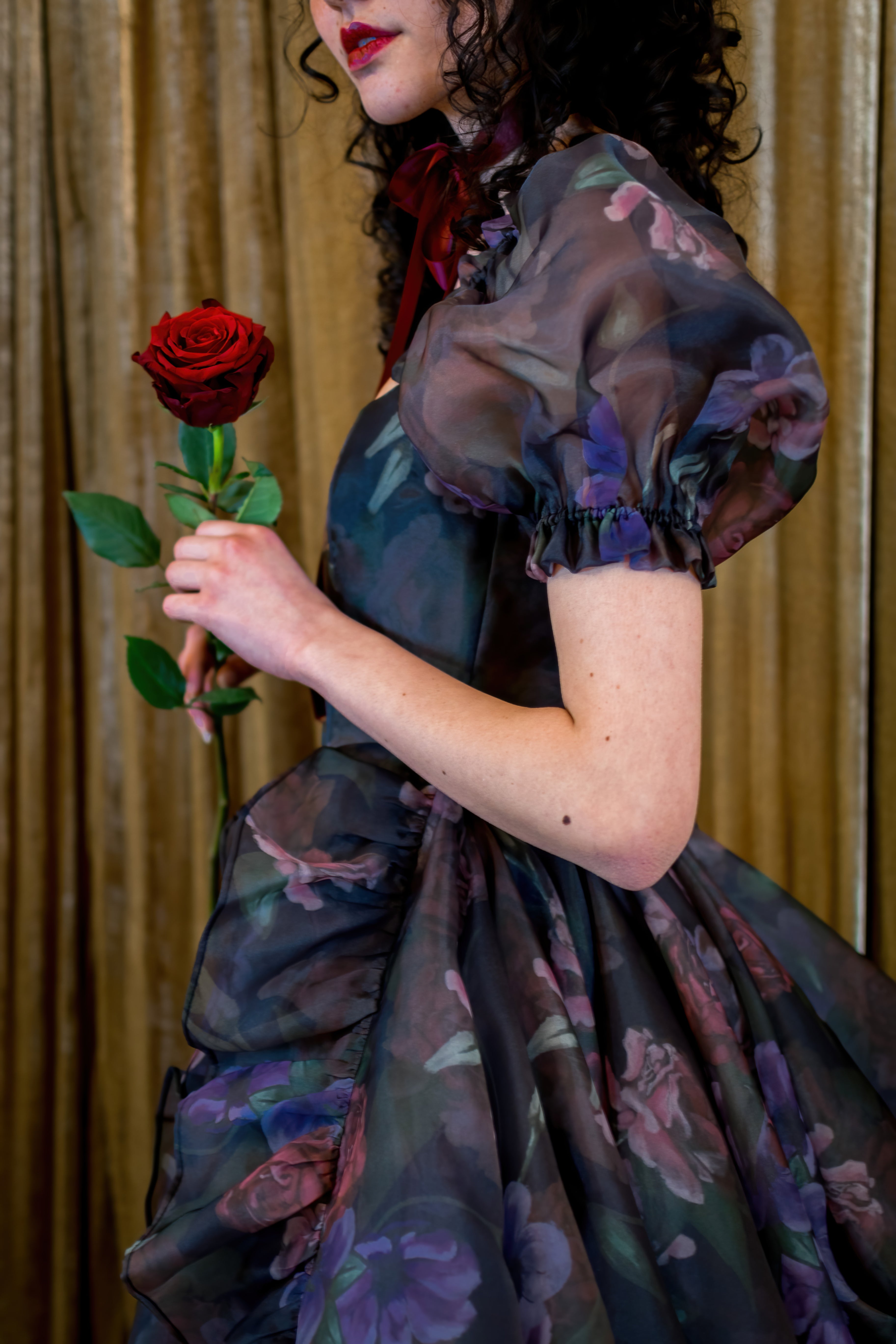 Odile's Triumph Chateau Train Gown