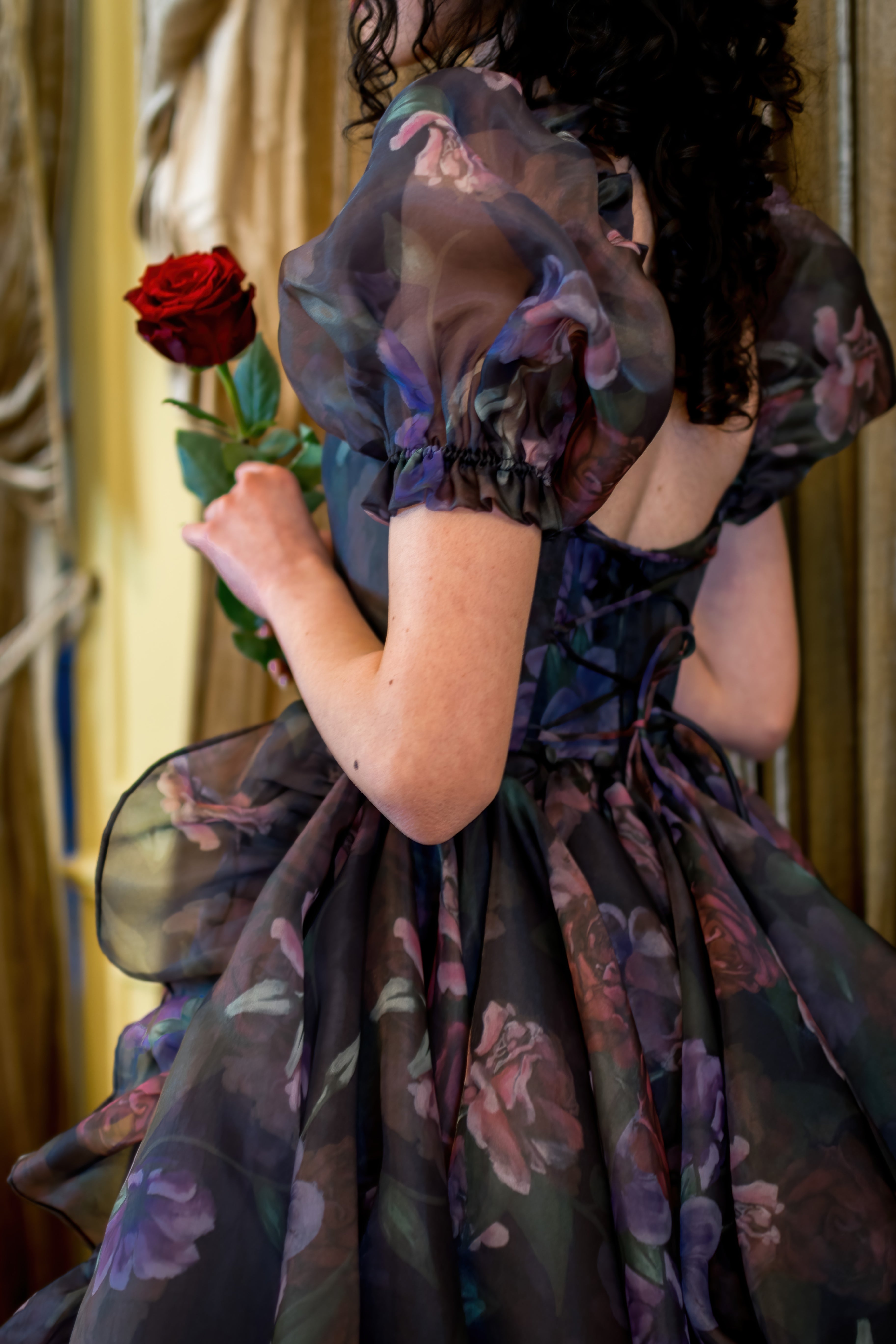 Odile's Triumph Chateau Train Gown