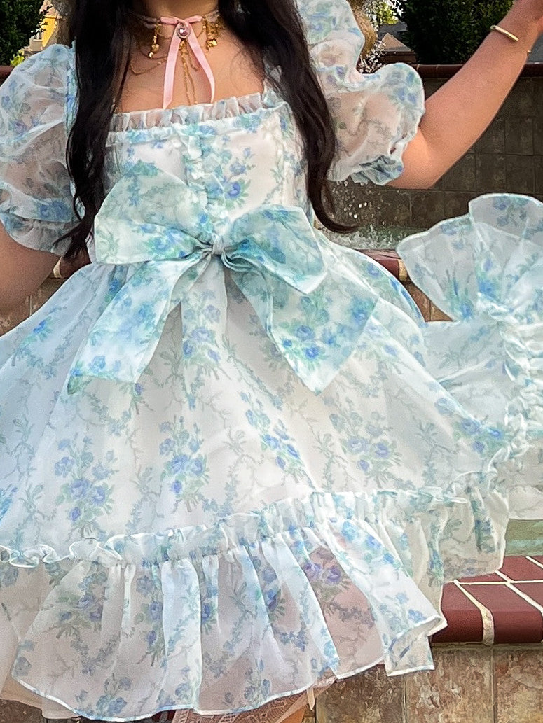 La Belle Epoque Little Dauphine Dress